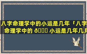 八字命理学中的小运是几年「八字命理学中的 🐞 小运是几年几月几日」